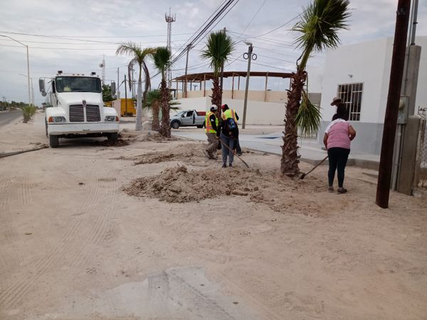 Inicia Servicios Públicos reforestación en El Sargento