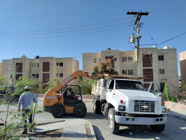 Realiza ayuntamiento campaña de limpieza en colonia Pedregal del Cortés
