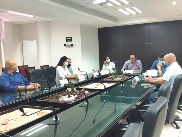 Además se realizó la presentación del plan de trabajo del CEMAC