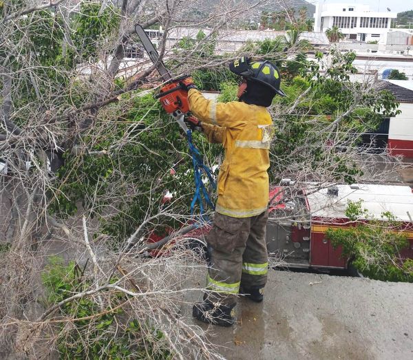 Atiende Cuerpo de Bomberos diferentes incidencias registradas durante las lluvias
