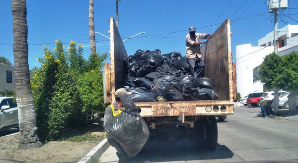 Recolectadas 52.8 toneladas de residuos en segunda jornada de limpieza en La Paz