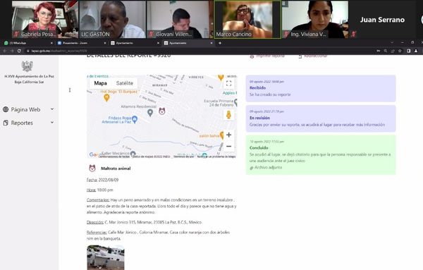 Comparte sus experiencias Justicia Cívica de La Paz en “Bienestar y Protección Animal”