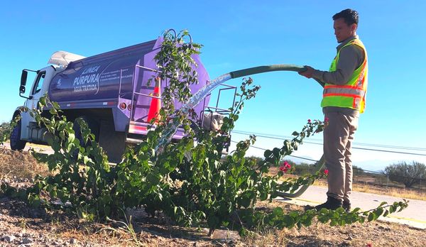 Fueron atendidos diferentes espacios de la ciudad regados con la pipa púrpura