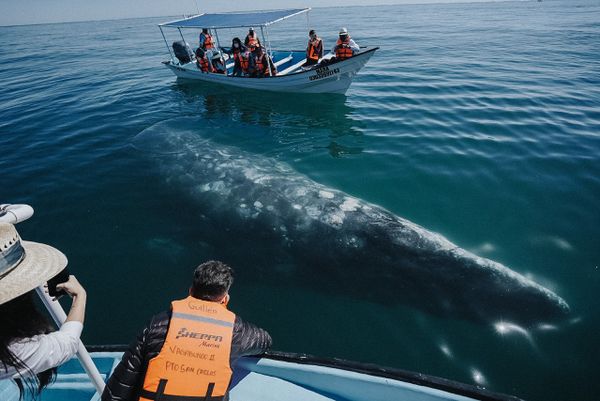 Presentan Plan Piloto de Seguridad en la comunidad de Puerto Chale