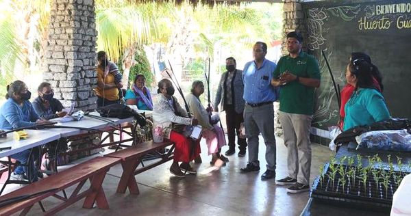 Entrega Ayuntamiento apoyos para impulsar el programa de Huertos de Traspatio en La Paz