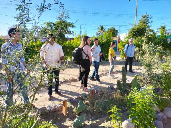 Promueven los Oasis Urbanos alrededor de la ciudad de La Paz