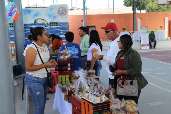 Se llevó a cabo la primera edición del Mercadito “Sabor Choyero"