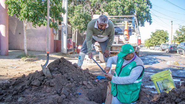 Atendió OOMSAPAS La Paz 306 fugas, durante la semana pasada