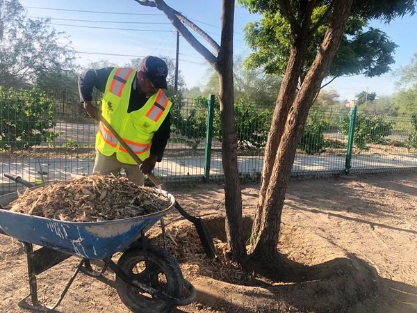 Aplica Servicios Públicos mulch en el Panteón Jardines del Recuerdo