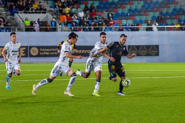 Cumplió Policía Auxiliar con protocolos al retirar porra visitante no registrada