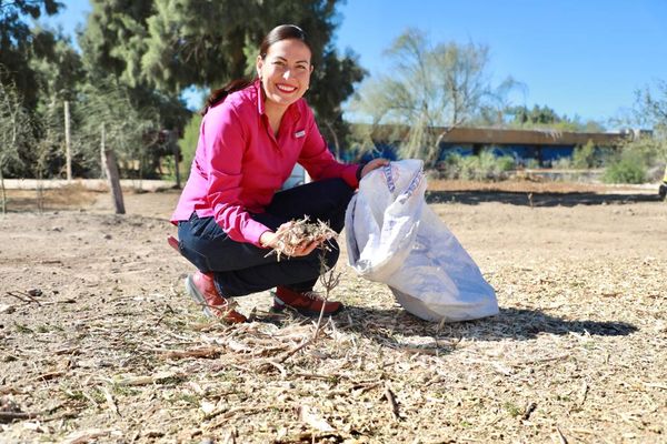 Invita Ayuntamiento a llevar los árboles de navidad al Eco Parque