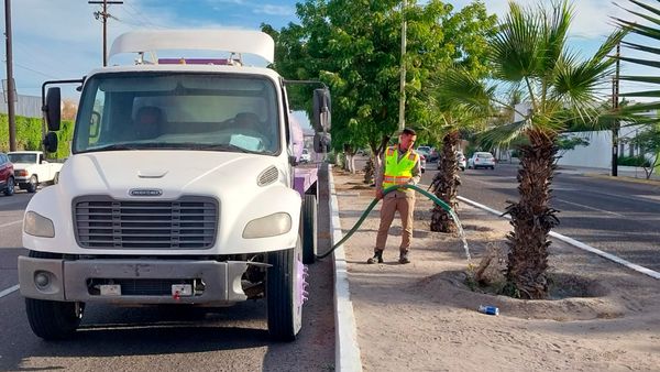 Realiza ayuntamiento riego de áreas verdes y deportivas con la pipa púrpura