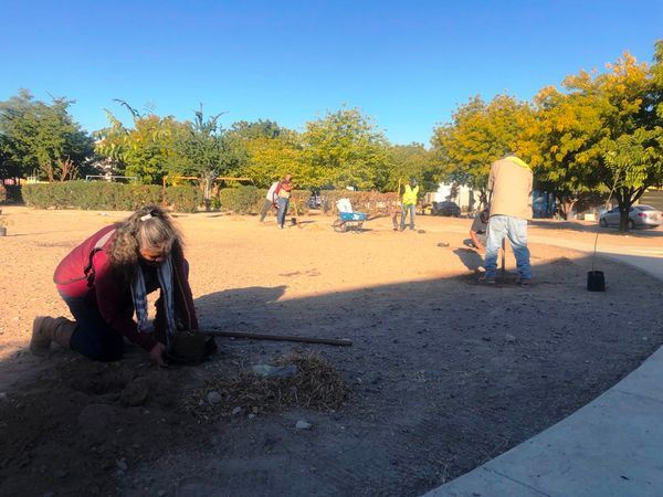Reforesta Servicios Públicos cinco parques en la ciudad