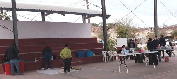 Realiza CEMAC “Campaña de Esterilización” en Las Pocitas