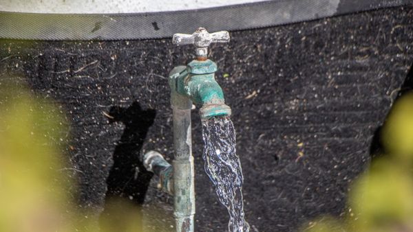 Se abastecieron 99 colonias con agua potable a través de la red el 07 de febrero: OOMSAPAS La Paz