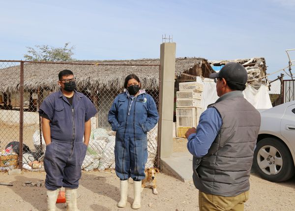 Se suma Ayuntamiento a brigadas de monitoreo en granjas avícolas
