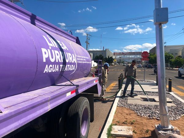 Con el programa Pipa Púrpura se riegan espacios públicos en La Paz