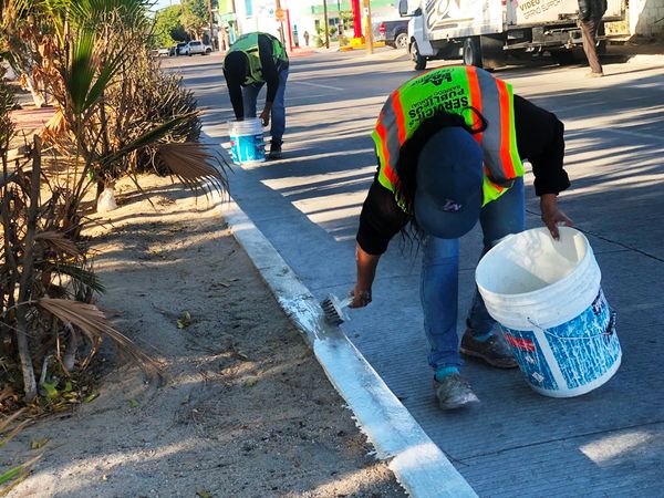 Embellece Servicios Públicos principales vialidades con pintura en los camellones