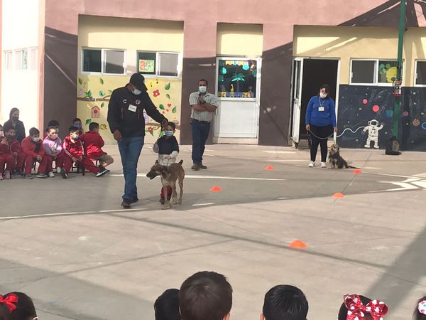 Promueve CEMAC la cultura del bienestar animal en el CENDI