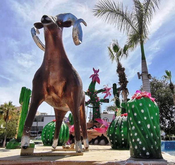 Realiza Ayuntamiento exposición artística y cultural en el Jardín Velasco