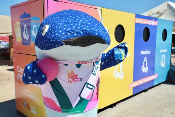 Recolectados 143 kilos de residuos reciclables en el contenedor de “Ruta Cero” en playa El Tecolote