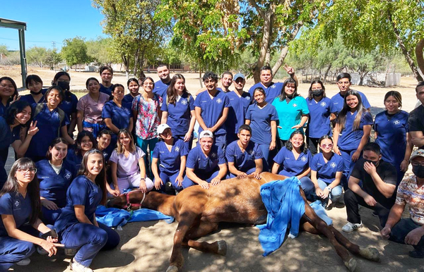 Apoya Ayuntamiento de La Paz en la profesionalización de futuros médicos veterinarios