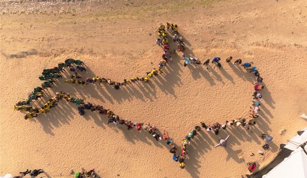 Celebran Homenaje al Tiburón Ballena en Malecón de La Paz