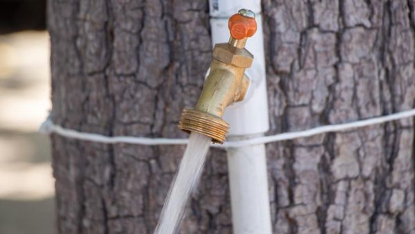 Contaron con agua potable 101 colonias a través de la red, el 22 de mayo: OOMSAPAS La Paz