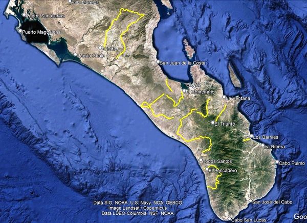Firma Ayuntamiento de La Paz convenio con CONAFOR en materia de saneamiento forestal