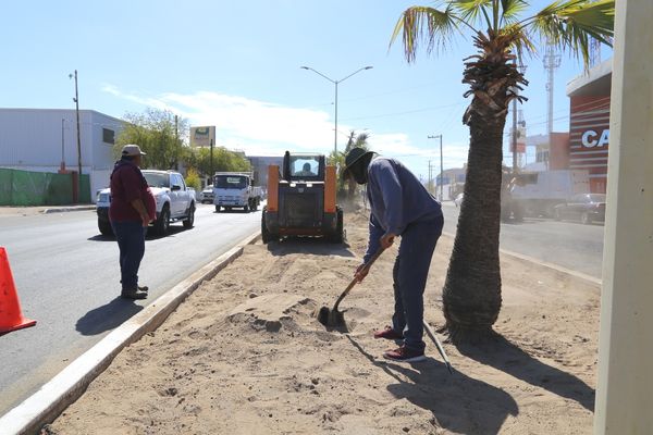 Realizan trabajos de preparación del bulevar Colosio para su reforestación