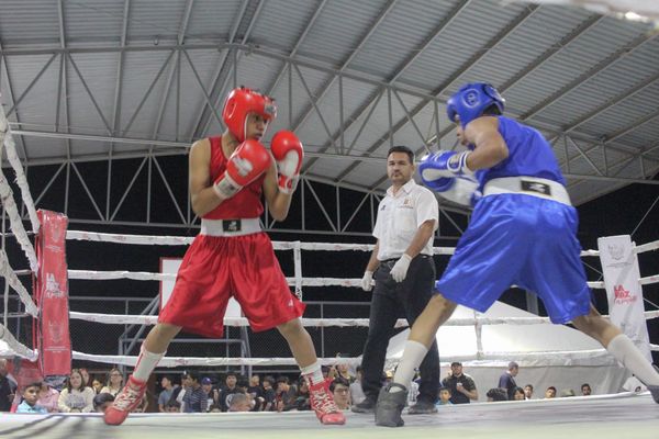 Se disputará el segundo encuentro del Torneo de Barrios de Box en el Canalecón