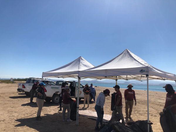 Se recolectan 73.5 kilos de residuos en la playa El Comitán