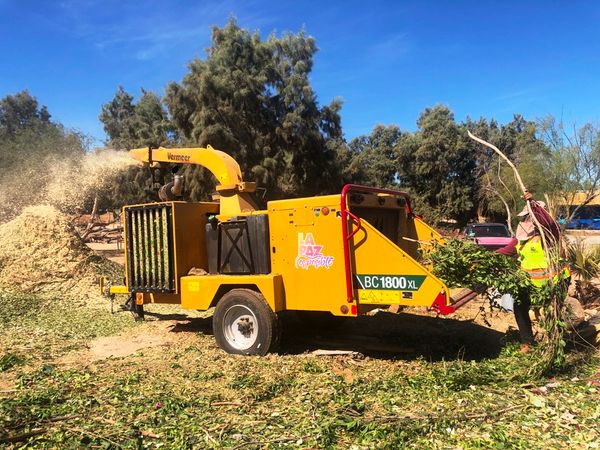 Más de 15 toneladas de ramas y troncos se han recibido en el programa “Manos a la Tierra”