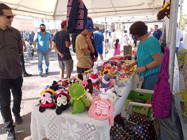 Se llevará a cabo la Expo Inclusión de Personas con Discapacidad