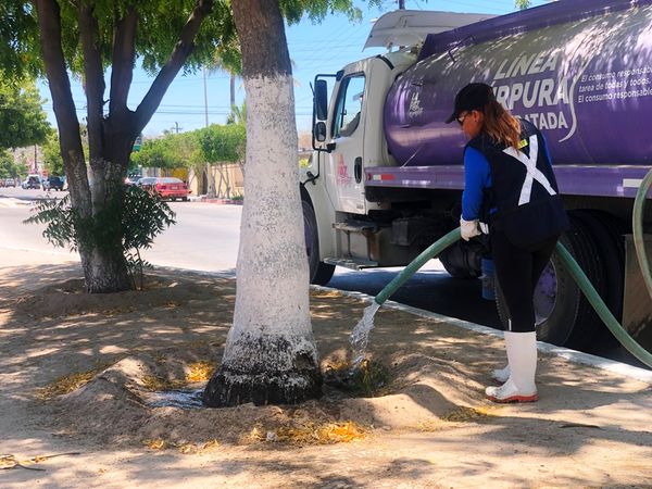 Utilizados más de 500 mil litros de agua tratada para riego en la ciudad