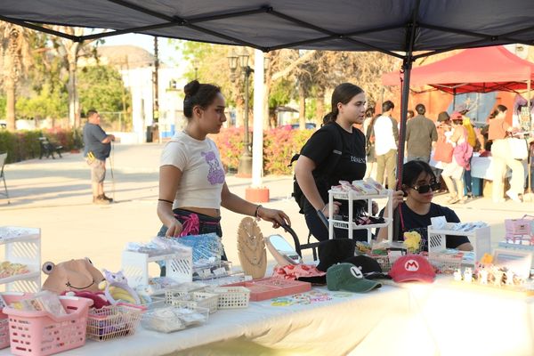 Participan más de 30 jóvenes emprendedores en el Mercadito Juvenil