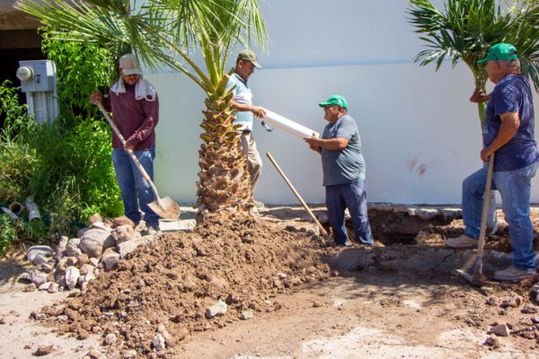 Atiende OOMSPAS La Paz 177 fugas del 24 al 30 de julio.