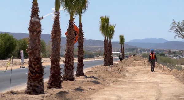 Obra de Ciclovía y Andador Peatonal en el Libramiento no disminuirá carriles de tránsito