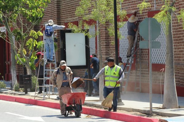 Recolecta Servicios públicos más de 2,200 toneladas de residuos domésticos durante la última semana.