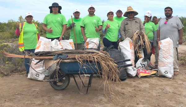 Participa Servicios Públicos en limpieza de humedales en el Mogote Ensenada de La Paz