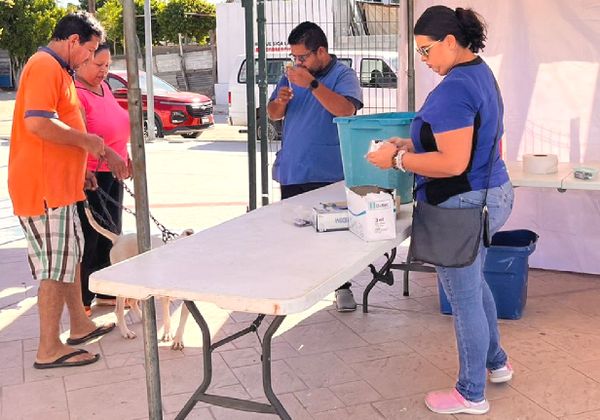 Realiza CEMAC Campaña de Esterilización en Olas Altas