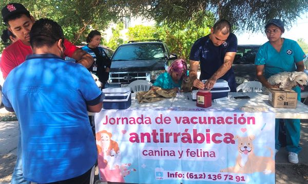 Realiza CEMAC la segunda etapa de Jornadas de Vacunación Antirrábica