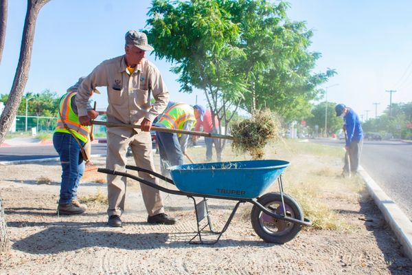 Realiza Servicios Públicos limpieza de 3 kilómetros de camellones