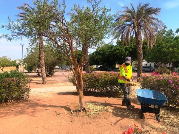 Generadas más de 13 toneladas de material orgánico con el programa “Manos a la Tierra”