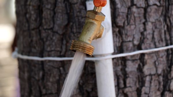 Contaron 104 colonias con servicio de agua potable por red, el 28 de septiembre: OOMSAPAS La Paz