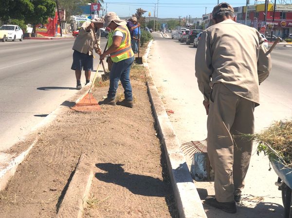 Finaliza Servicios Públicos la semana de trabajos de barrido masivo en la ciudad