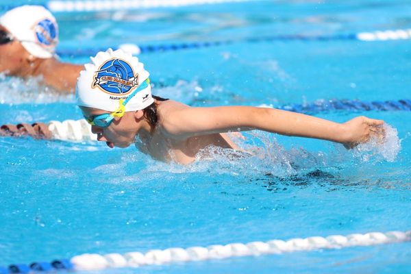 Positiva Primera Copa de Natación Tiburón Ballena en el CEDEM