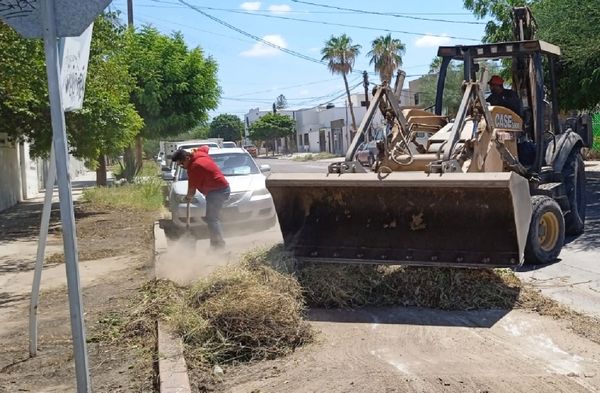 Recolecta Servicios Públicos cerca de 12m3 de residuos en la zona Centro de la ciudad