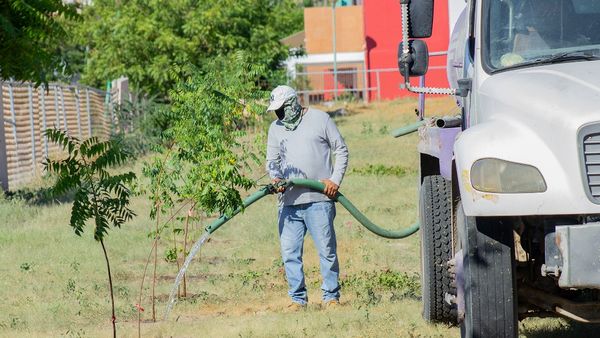 Se suma Servicios Públicos a la jornada de reforestación en el CECYT 08 de Camino Real