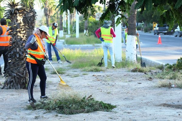 Continúan trabajos de limpieza de camellones con cuadrillas de barrido manual y empleo temporal